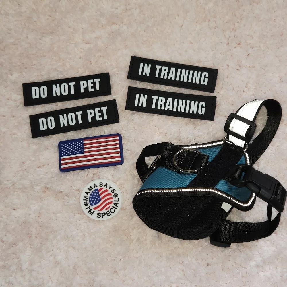 Teal and Black Dog Harness with Patches XS ESA